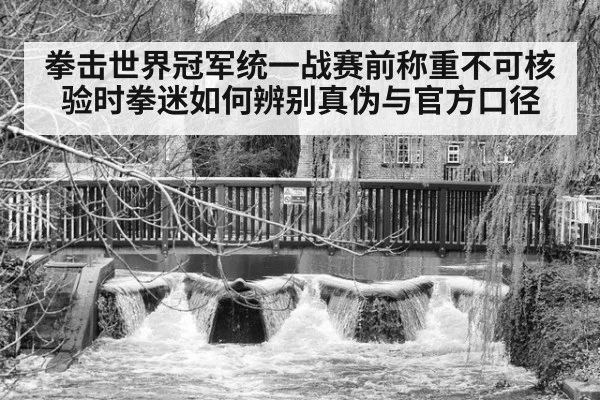 拳击世界冠军统一战赛前称重不可核验时拳迷如何辨别真伪与官方口径